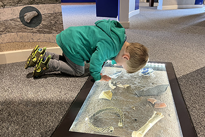 child looking at an archaeology exhibition